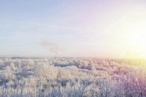 Winter scenery Stock Photos