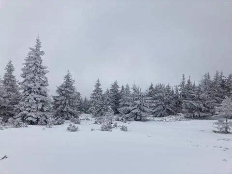 Winter scenery 写真素材