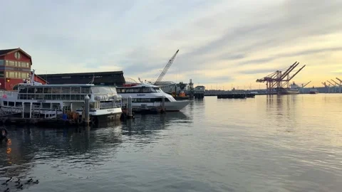 A winter scenery of the Seattle waterfront in December. Stock Footage 339080498