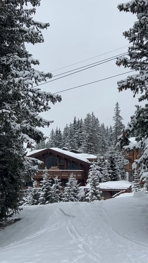 Winter scenery with ski lifts between forest and wooden chalets Stock Footage 337098978