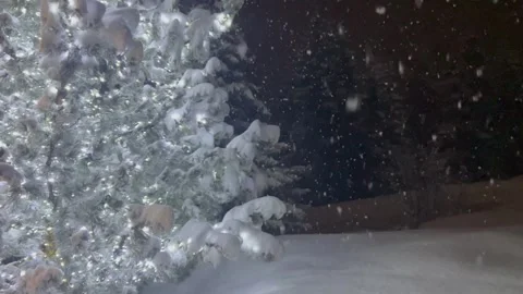 Winter scenery on a snowing day over pine trees by night Stock Footage 337228114
