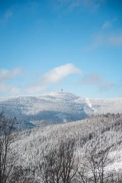 Winter scenery with sun rays reflecting off the glittering snow. Sunrise in a Stock Photos