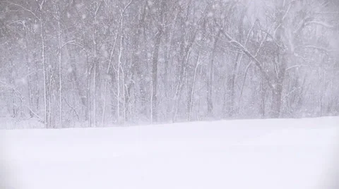 Winter Scenes Blizzard 스톡 동영상 33522165