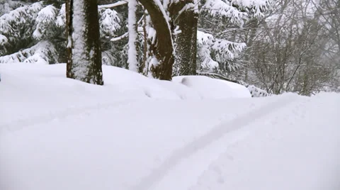 Winter Scenes Tracks MCU Vídeo Stock 33526865