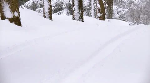 Winter Scenes Tracks WS Filter Vídeo Stock 33526712