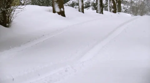 Winter Scenes Tracks WS Vídeo Stock 33526200