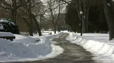 Winter scenic with walking path in the park (High Definition) Stock Footage 64340