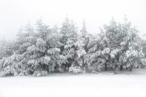 Winter scenics Stock Photos