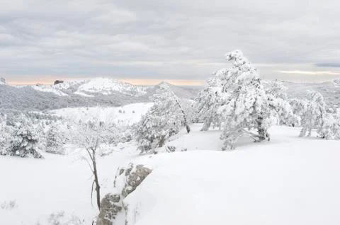 Winter scenics Stock Photos