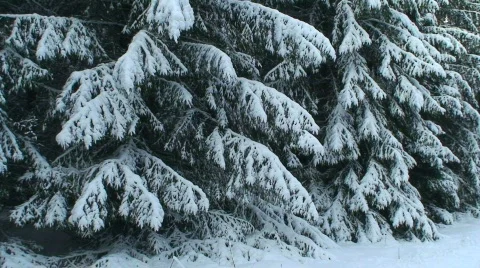 Winter scenics twenty-one Stock Footage