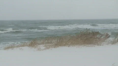 Winter sea Video stock 587600