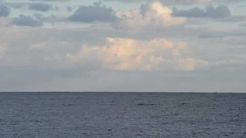 Winter sea Stock Footage 148379538