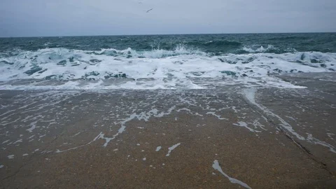 Winter sea landscape Stock Footage 101978901