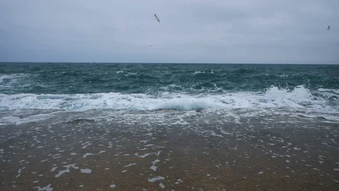 Winter sea landscape Stock Footage 101978921