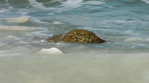 Winter sea waves Stock-Footage 22225991