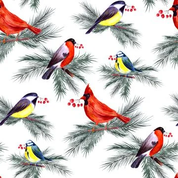 Winter Seamless pattern with Birds. Stock Illustration