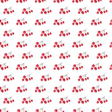 Winter seamless pattern with red berries on white Stock Illustration