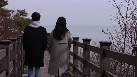 Winter seaside, a couple's back view Stock Footage 249900469