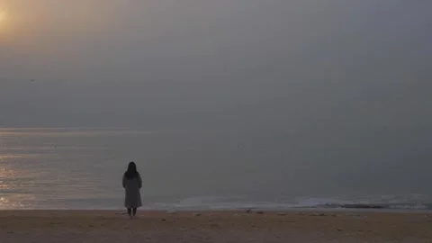 Winter seaside, a couple's back view Stock Footage 249900471