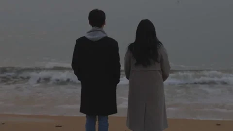 Winter seaside, a couple's back view Stock Footage 249900475