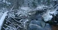 Winter season with brook and snow in mountain range Harz forest landscape 4k or 4k+ Resolution