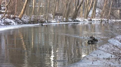 Winter season Видео 10732225