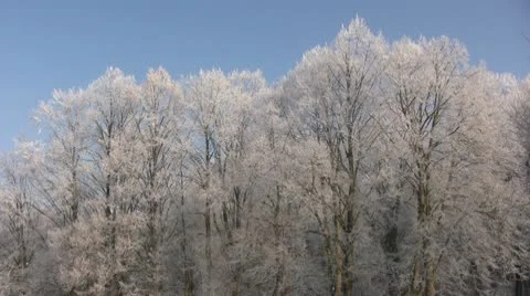 Winter season Stock Footage 10752778