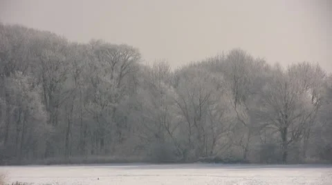 Winter season Stock Footage 10753038