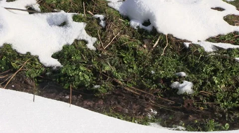 Winter season Видео 46913903