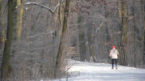 Winter season - forest Stock Footage 10753400
