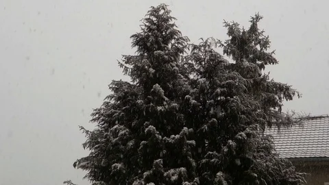 Winter season, snowfall Stock Footage 107781230
