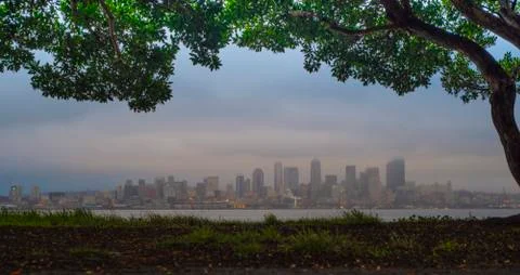 Winter in seattle Stock Photos