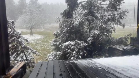 Winter Serenity Interior View of Snow-Covered Branches and Eaves Dripping Wa Stock Footage 328342963