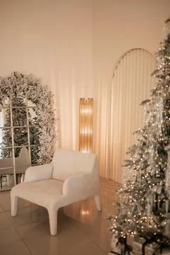 Winter Serenity Stock Photos