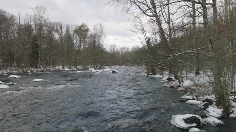 Winter serenity by Swedish river Stock Footage 293693094