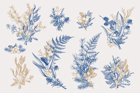 Winter set. Floristic bouquets. 库存插图