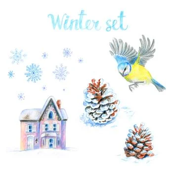 Winter set. Tit, cones, pink house, snowflakes. Stock Illustration