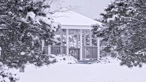 Winter setting log cabin in Christmas snow Stock Footage 220502596