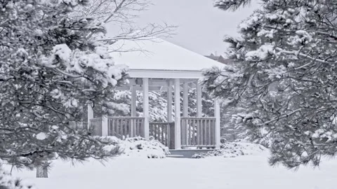 Winter setting log cabin in Christmas snow Stock Footage 220502628