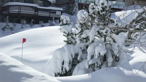 Winter setting log cabin in Christmas snow . High quality 4k footage Stock Footage 244014278
