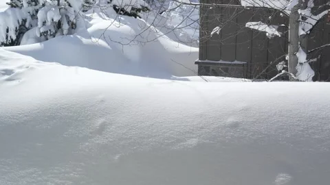 Winter setting log cabin in Christmas snow . High quality 4k footage Stock Footage 244014386