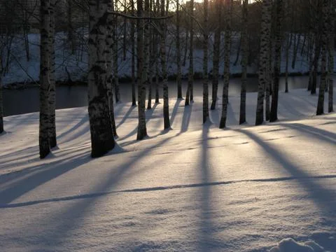 Winter shadows Stock Photos