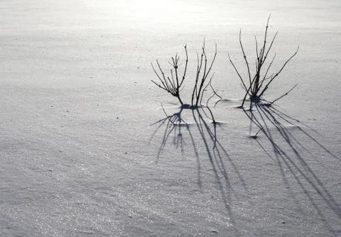 Winter shadows Stock Photos
