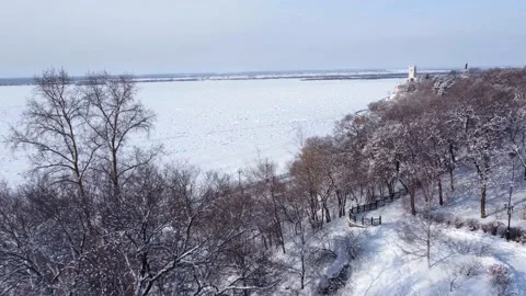 Winter shooting of a park area with trees and fir trees from a bird's-eye view. Video stock 170559928