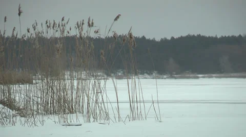 Winter shore Stock Footage 35152396