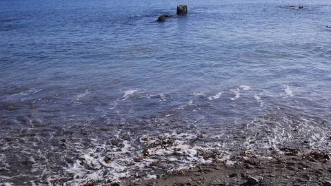 Winter shore line Stock Footage 85561549