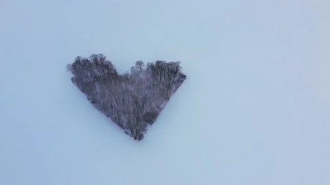 Winter shot from a drone through the clouds on a real heart-shaped forest. Stock Footage 147596548