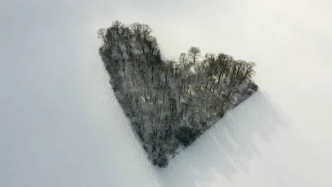 Winter shot from a drone through the clouds on a real heart-shaped forest. Stock Footage 148057821