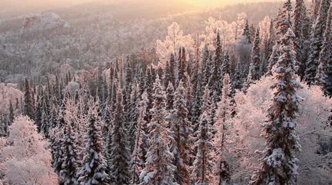 Winter in Siberia 스톡 동영상 10882183