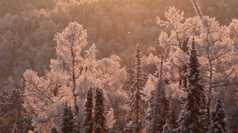 Winter in Siberia2 Stock Footage 10882181